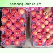 Шаньдун вкусный сочный хрустящий сладкий гала-яблоко